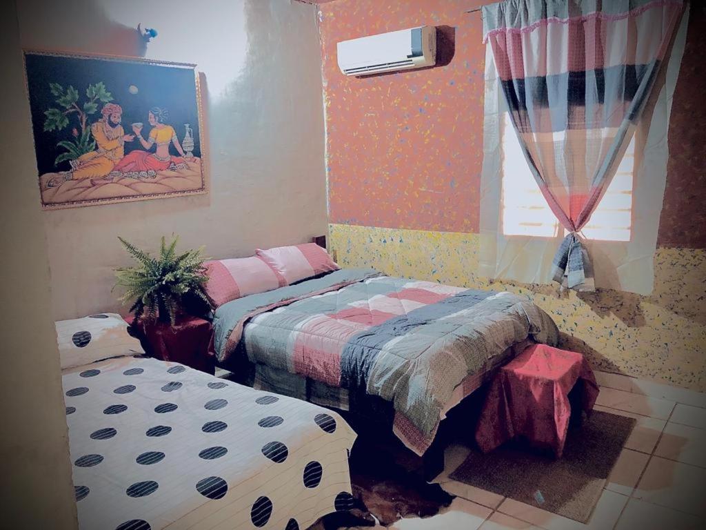Bed and Breakfast La Escala Aeropuerto Луке Экстерьер фото
